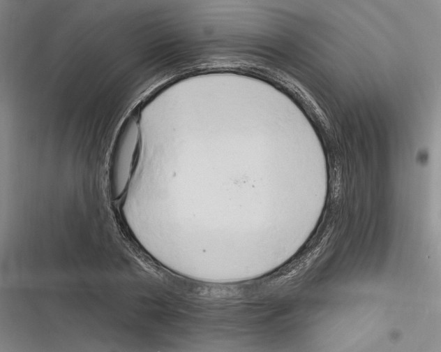 X0000116280786201001111034