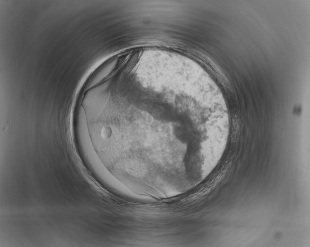 X0000116280788201001111034
