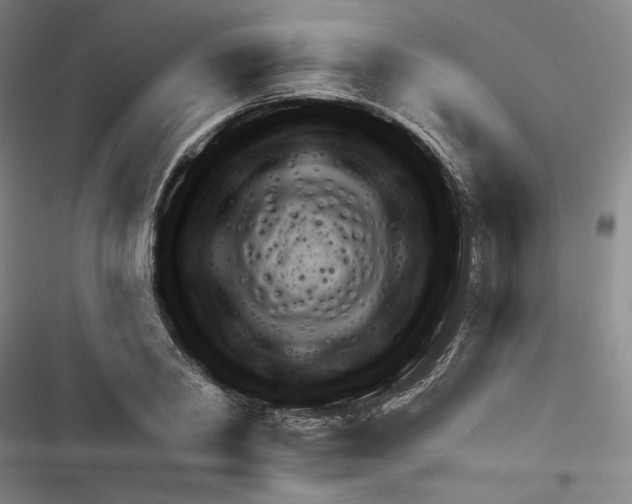 X0000116280790201001111034