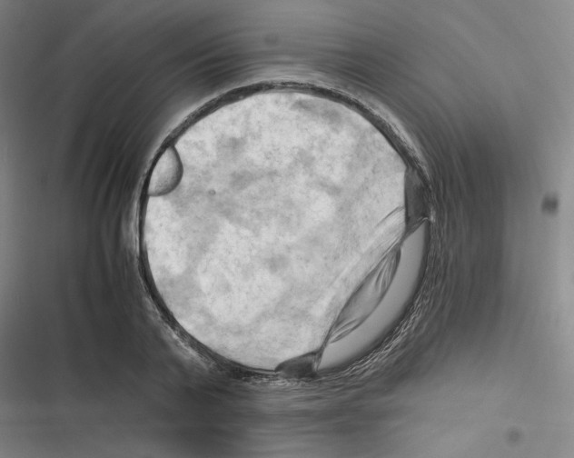 X0000116280791201001111034