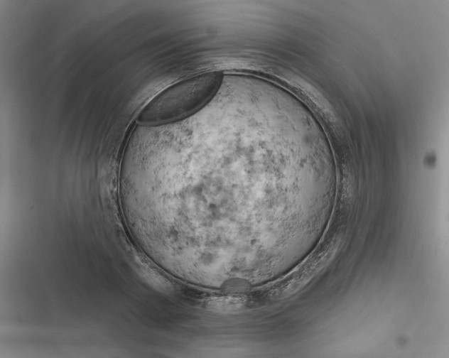 X0000116280793201001111034