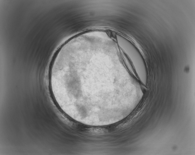 X0000116280795201001111034