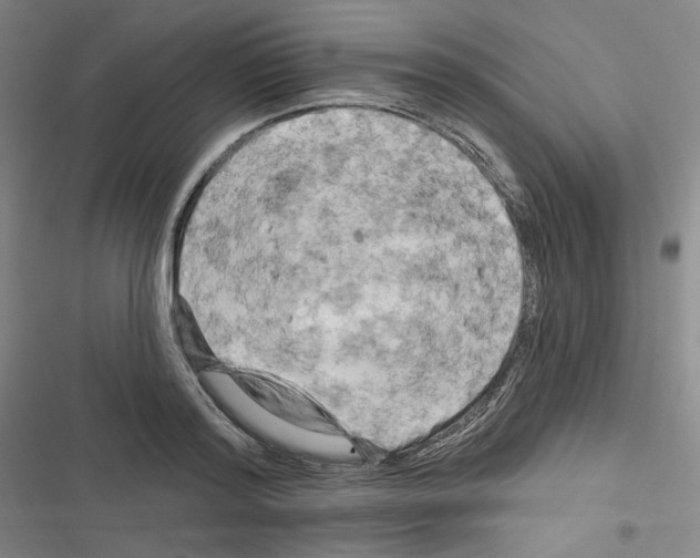 X0000116280796201001111034