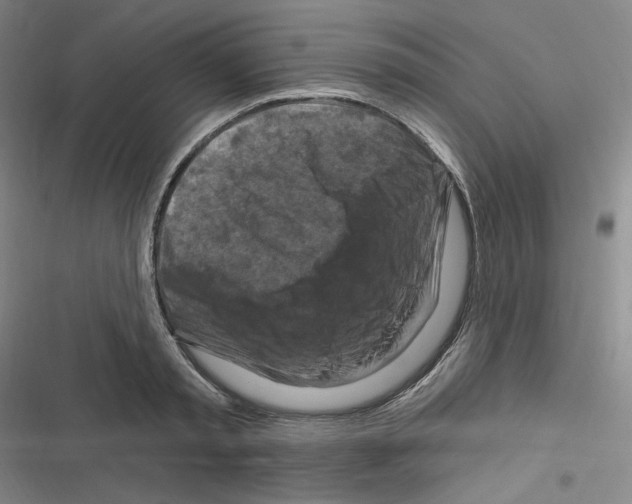 X0000116280797201001111034