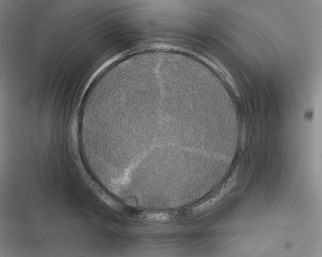 X0000116280798201001111034