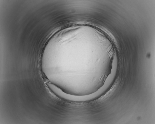 X0000116280801201001111034