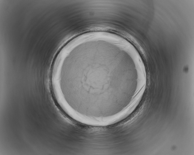 X0000116280802201001111034