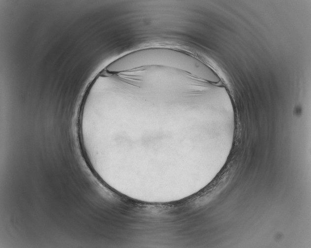 X0000116280803201001111034