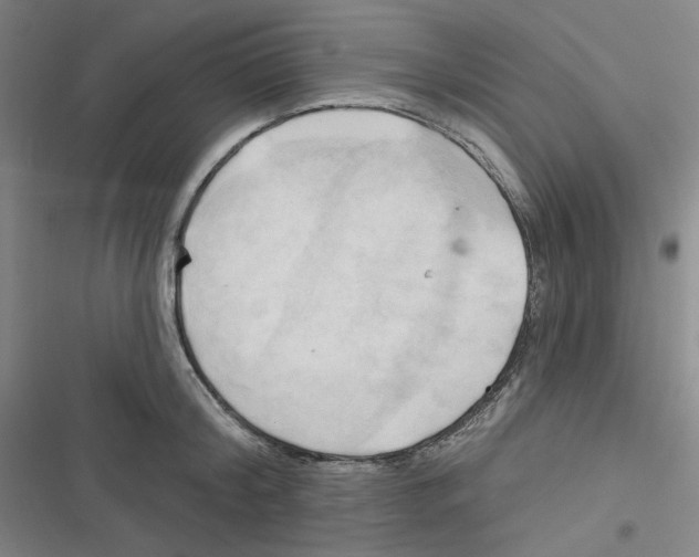 X0000116280804201001111034
