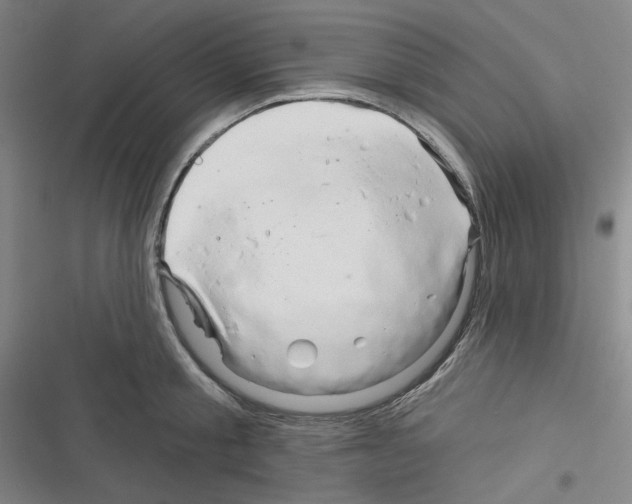 X0000116280805201001111034