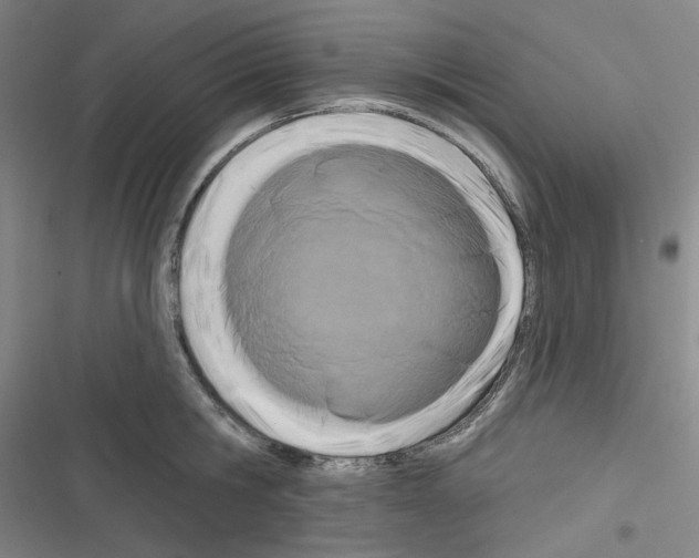 X0000116280806201001111034