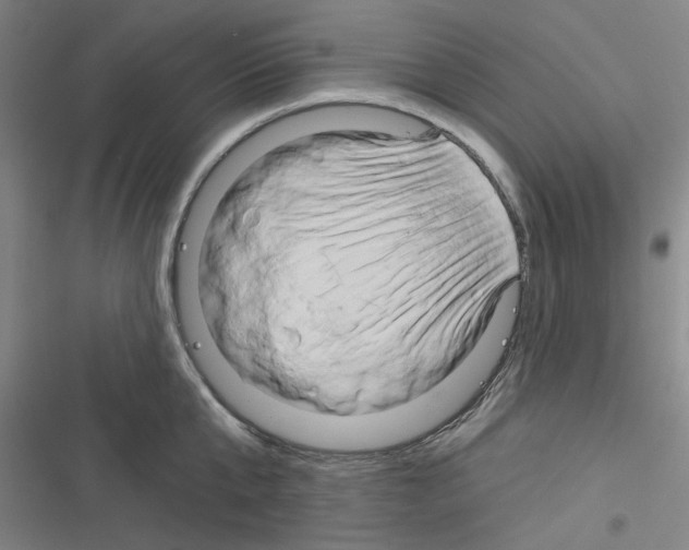 X0000116280807201001111034