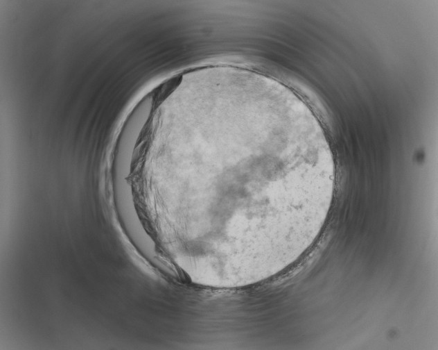 X0000116280808201001111034