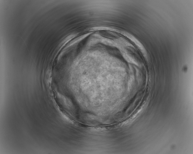 X0000116280809201001111034