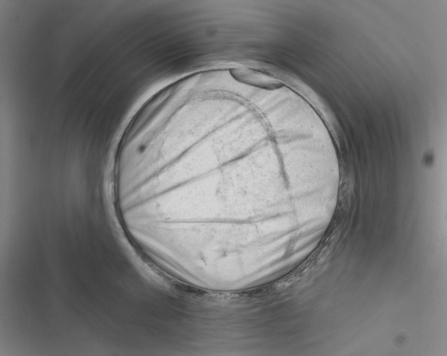 X0000116280811201001111034