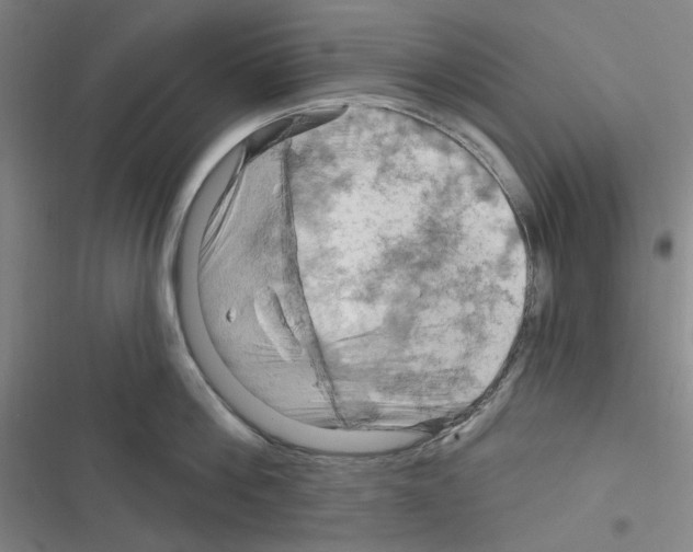 X0000116280812201001111034