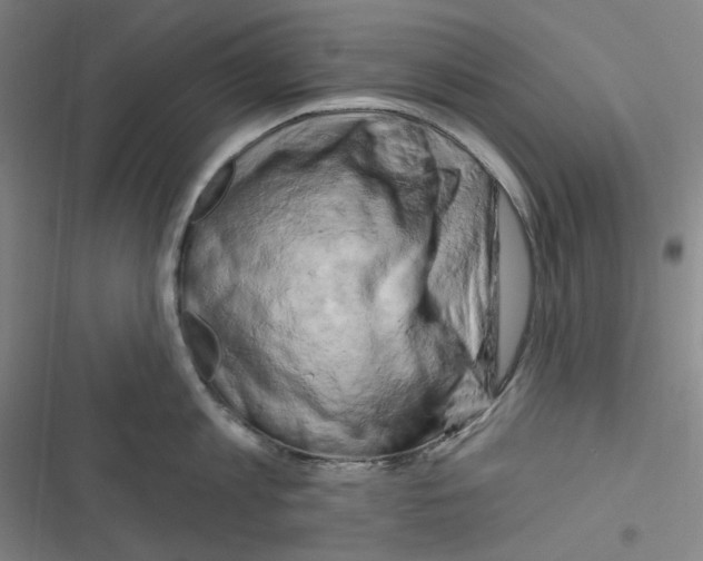 X0000116280813201001111034