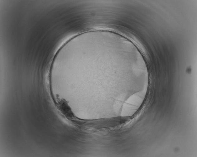 X0000116280814201001111034