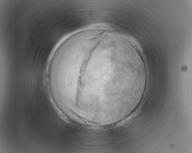X0000116280816201001111034