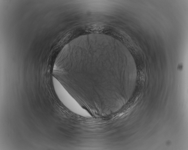 X0000116280818201001111033
