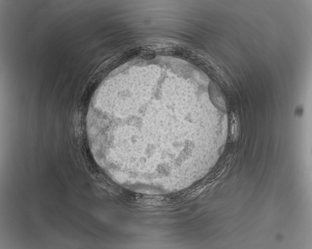 X0000116280819201001111033