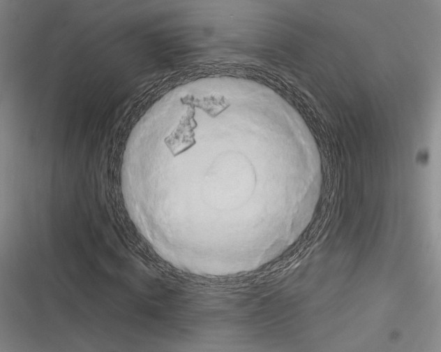X0000116280820201001111033