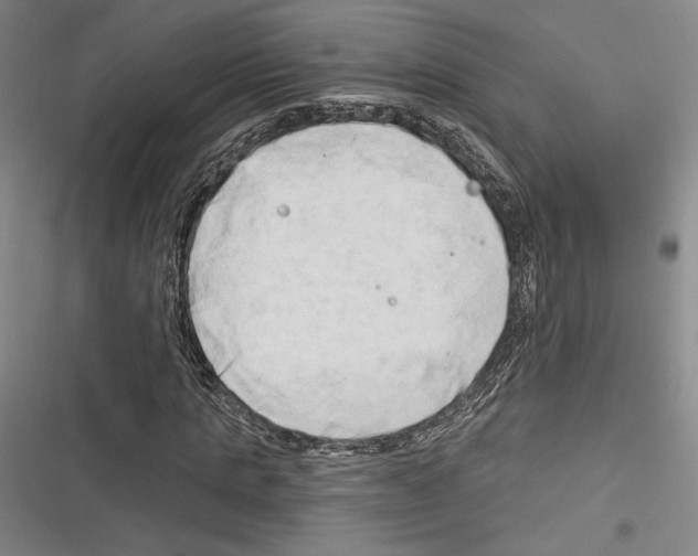 X0000116280821201001111033