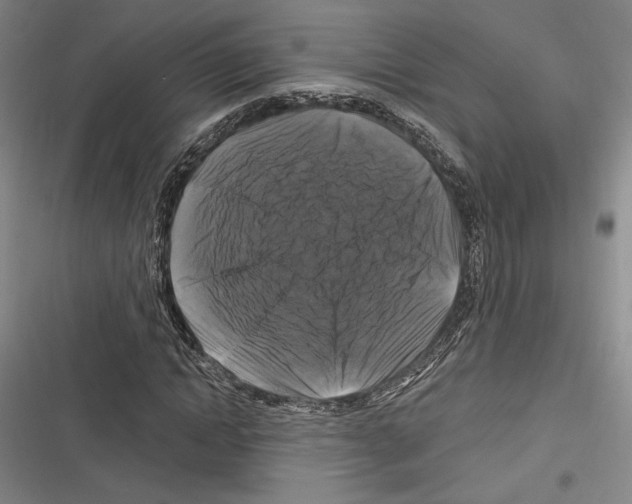 X0000116280822201001111033