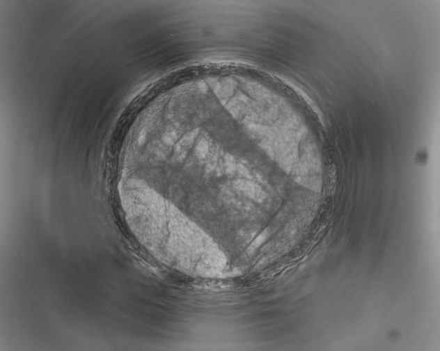 X0000116280823201001111033