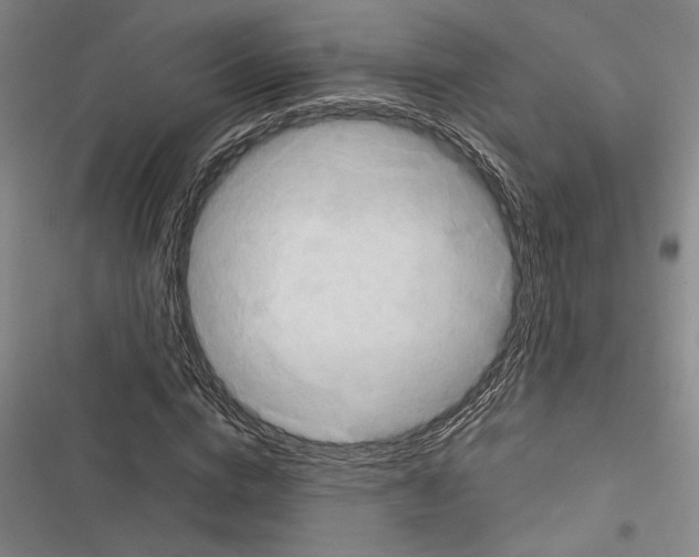 X0000116280824201001111033