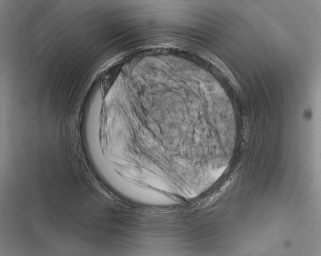 X0000116280826201001111033