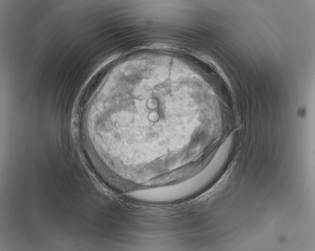 X0000116280827201001111033