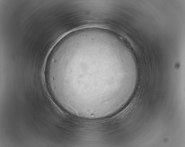 X0000116280828201001111033