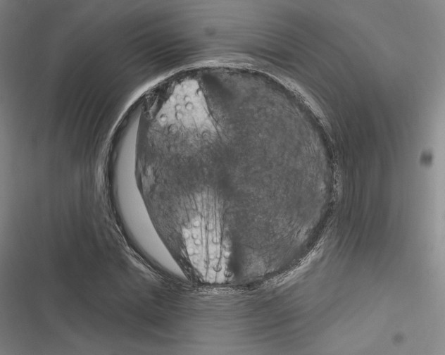 X0000116280830201001111033