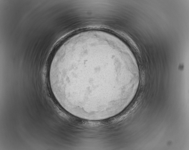 X0000116280831201001111033