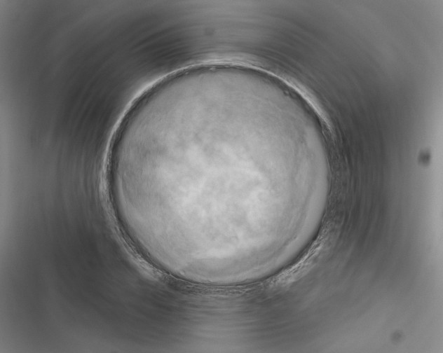 X0000116280832201001111033
