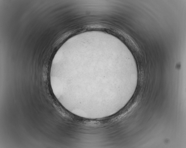 X0000116280833201001111033