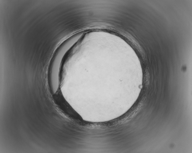 X0000116280834201001111033