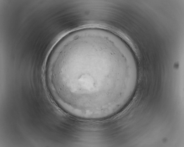 X0000116280836201001111033