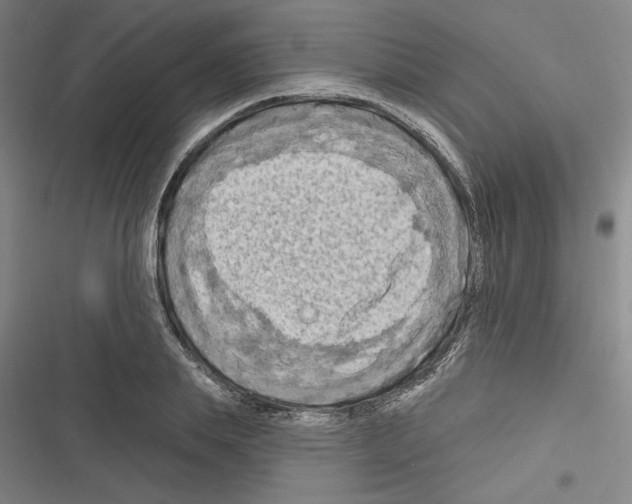 X0000116280839201001111033