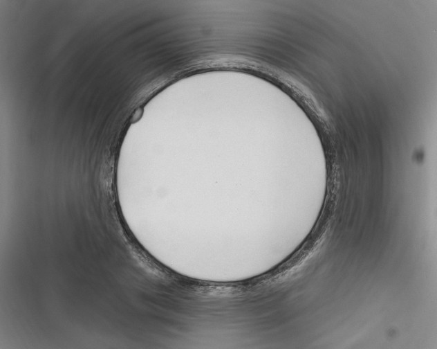 X0000116280841201001111033