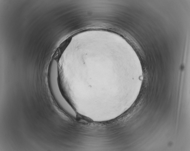 X0000116280842201001111034