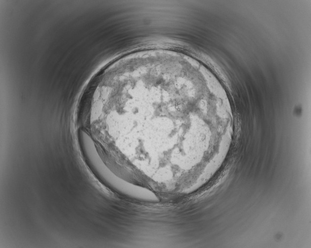 X0000116280843201001111034