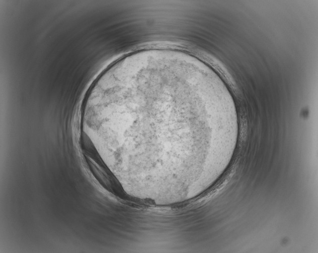 X0000116280844201001111034