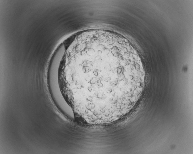 X0000116280846201001111034