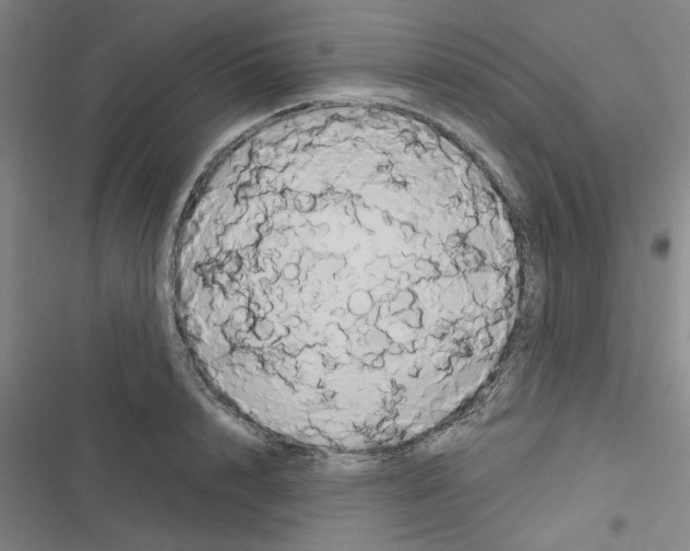 X0000116280848201001111034