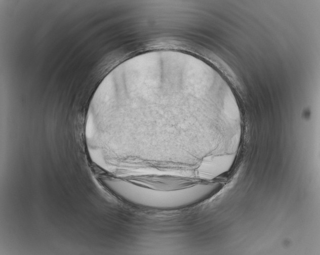 X0000116280849201001111034