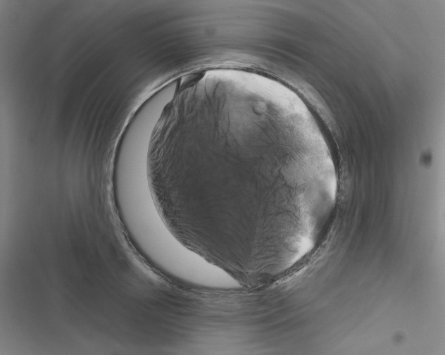 X0000116280850201001111034