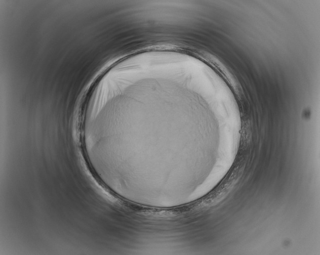 X0000116280851201001111034
