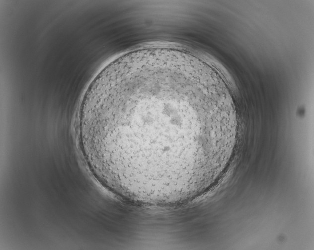 X0000116280852201001111034